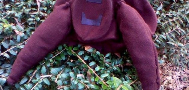 Što to tamo gmiže u Dolini Vjetra? – Ivana Keršić